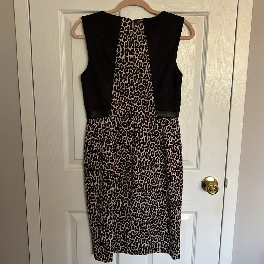 Lace and Leopard Print Pencil Dress - Picture 7 of 8